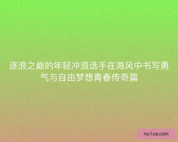 逐浪之巅的年轻冲浪选手在海风中书写勇气与自由梦想青春传奇篇