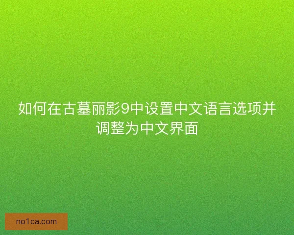 如何在古墓丽影9中设置中文语言选项并调整为中文界面